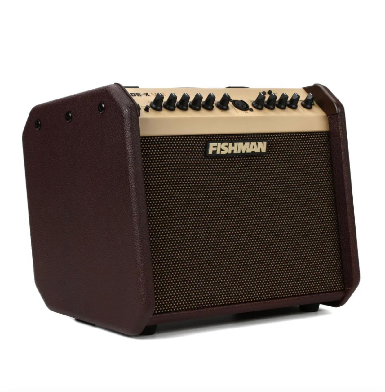 Fishman Loudbox Mini BT 60-watt 1 x 6.5-inch Acoustic Combo Amp