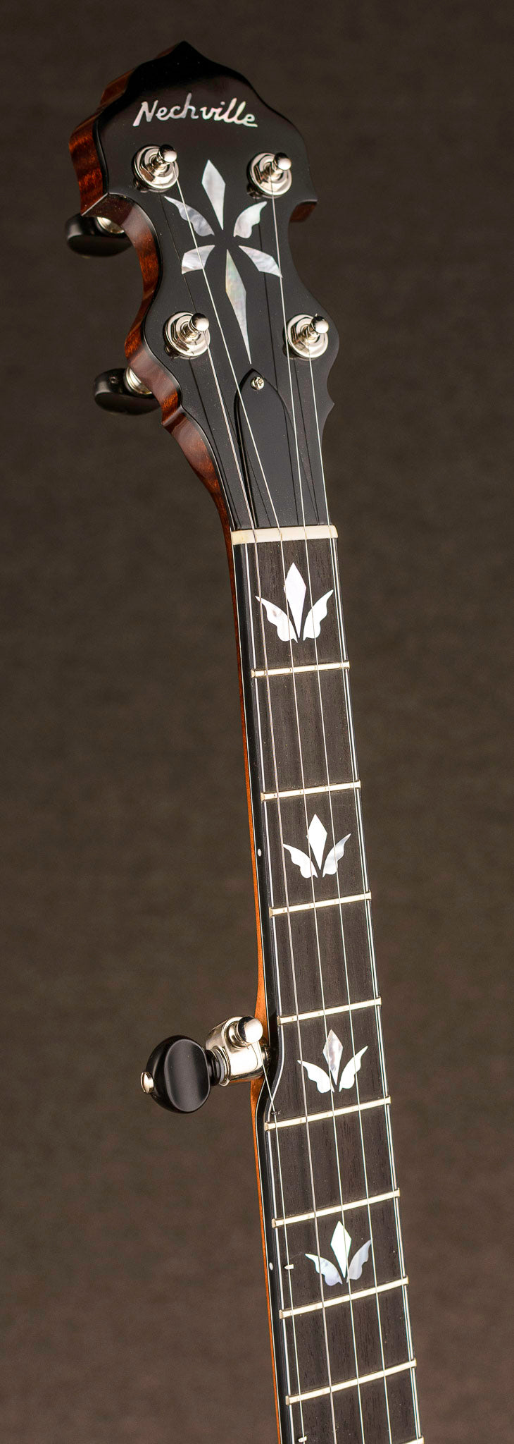 Classic Dlx Archtop-custom Build-Refurbished Neck
