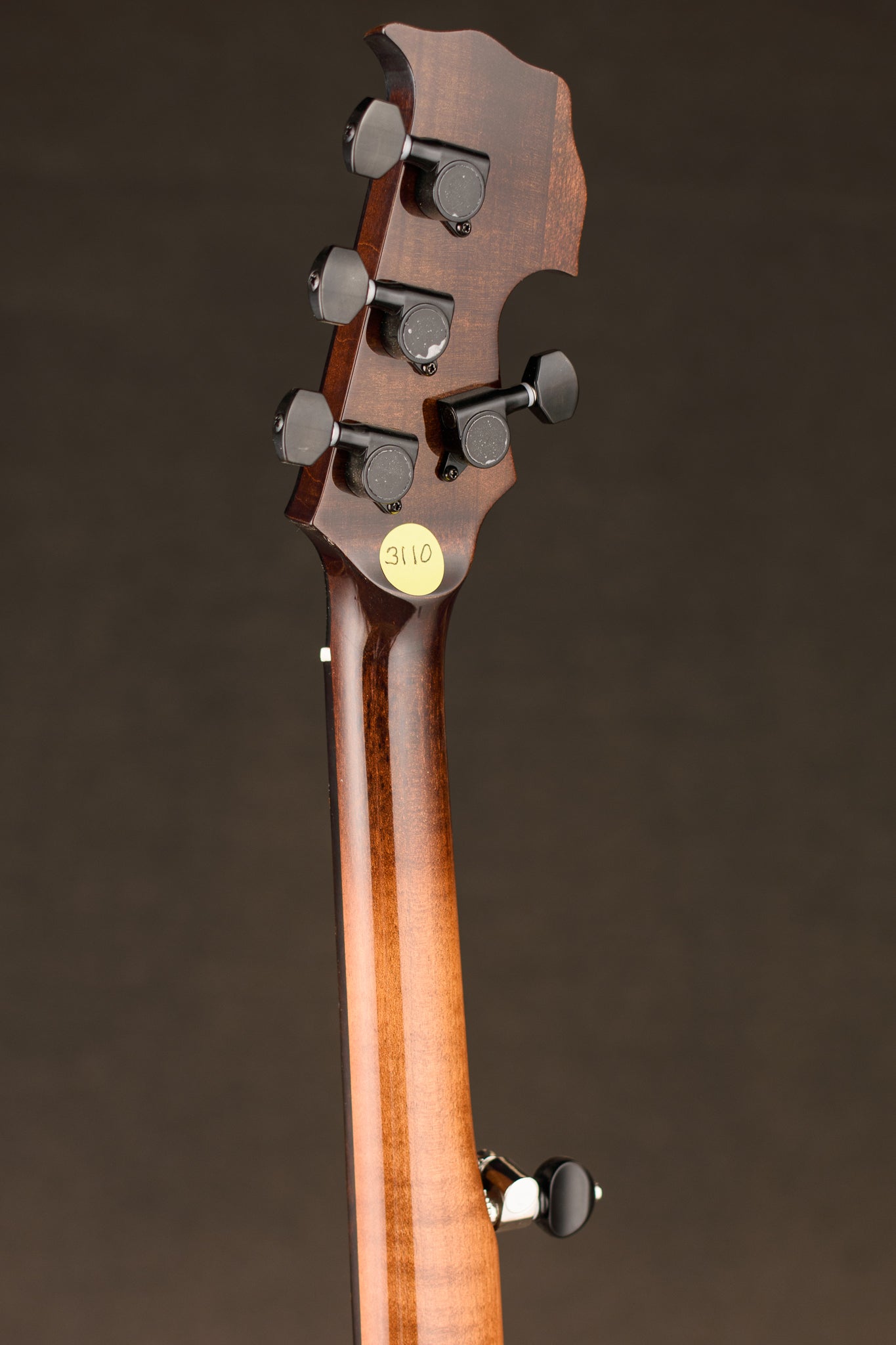 Nechville Custom Zeus 5 String