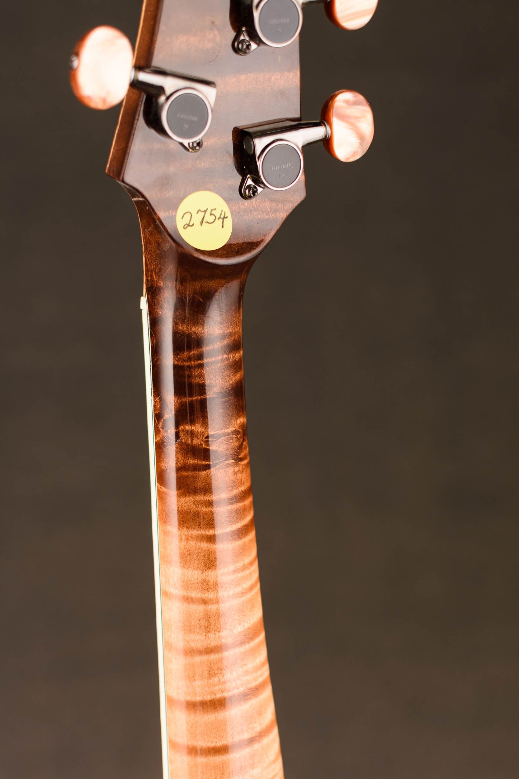 Nechville Starizon Phantom 5 String Bluegrass Banjo