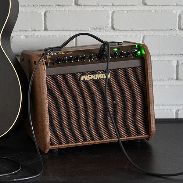 Fishman Mini Q Fishman Loudbox Mini Charge Acoustic Amplifier